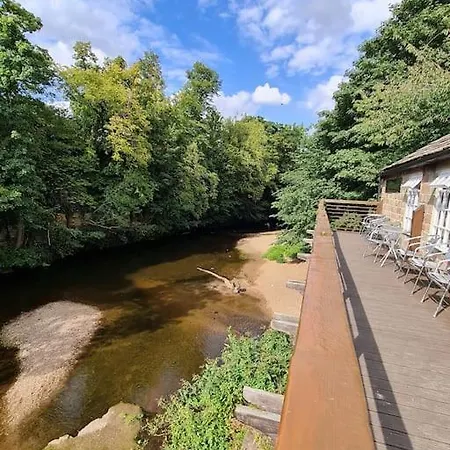 Daire Georgia Knaresborough